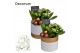 Arrangementen kerst Calandiva & Hyacint Wit Goud Keramiek HL23222WP [B 