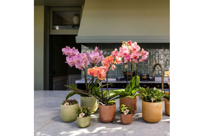 Keramische pot Kolibri Home Flare pot green 