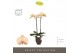 Phalaenopsis geel Optistar Parton 2 spike in Emilia Brown Aquo15 bl. 2 
