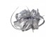 Tillandsia xerographica tillandsia xerographica zilver met glitter 1 b 