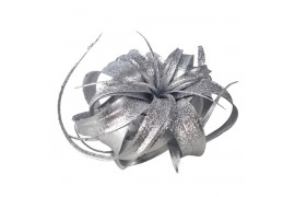 Tillandsia xerographica tillandsia xerographica zilver met glitter 1 b