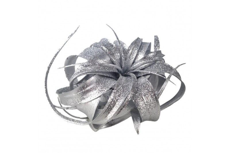 Tillandsia xerographica tillandsia xerographica zilver met glitter 1 b 