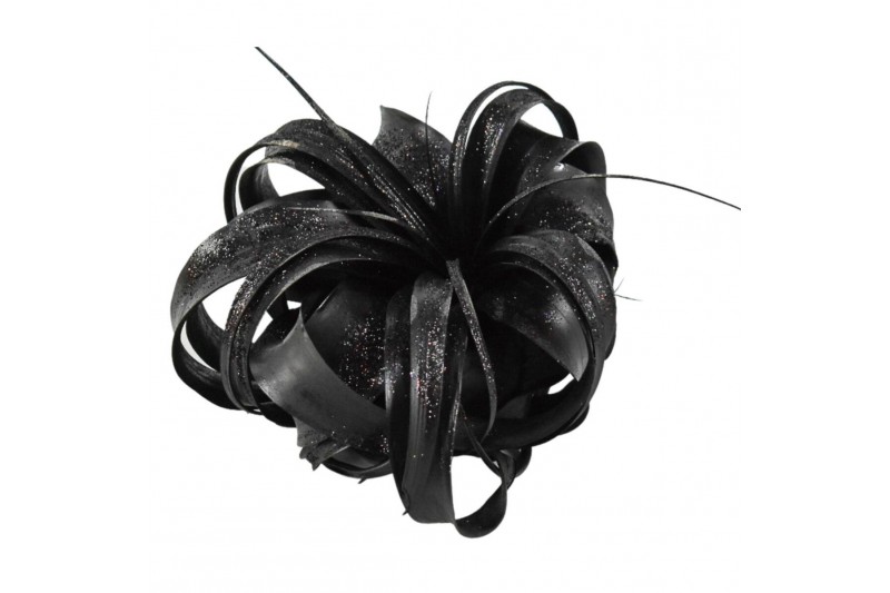 Tillandsia xerographica tillandsia xerographica zwart met glitter 1 bl 