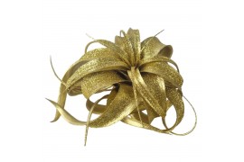 Tillandsia xerographica tillandsia xerographica goud met glitter 1 bl.