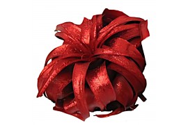 Tillandsia xerographica tillandsia xerographica rood met glitter 1 bl.