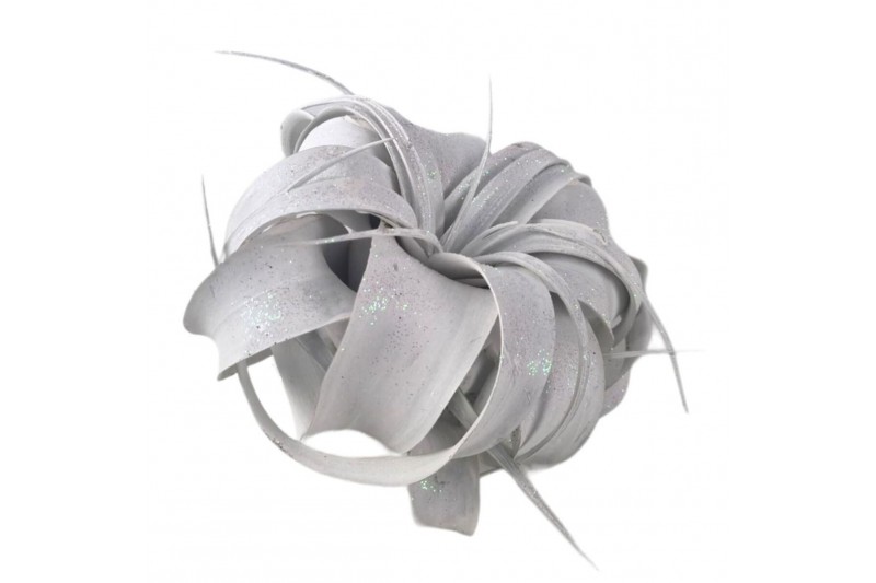 Tillandsia xerographica tillandsia xerographica wit met glitter 1 bl. 