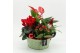 Arrangementen kerst XMASXL-2527 Kerst XL 4 pp 