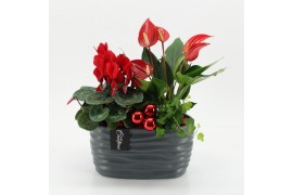 Arrangementen kerst XMASXL-2515 Kerst XL 3 pp