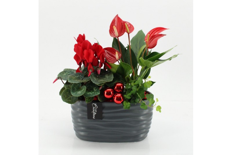 Arrangementen kerst XMASXL-2515 Kerst XL 3 pp 