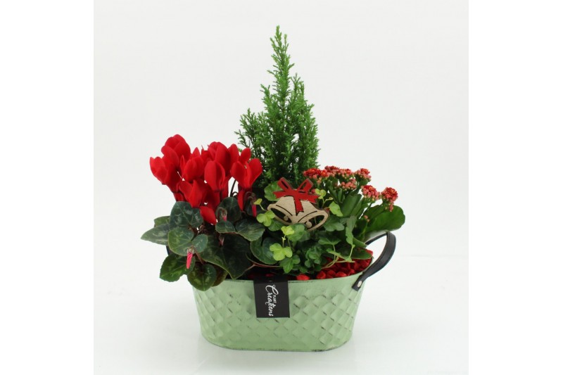 Arrangementen kerst XMASXL-2529 Kerst XL 4 pp 