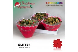 Kalanchoe secret Kalanchoe Moments - Red with glitter - kerst 6 pp 35 