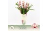 Cymbidium Cymbidium, Wild Pink 5-spike Exclusiva Orchidea Potcover 5 t