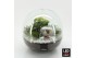 Arrangementen kerst XMAS-25219LED Kerst creatie terrarium 3 pp 