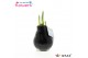Hippeastrum gewaxt No Water Flowers Waxz® Black 2 tak/plnt 