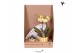 Phalaenopsis Kolibri Gift Set small Easter2 pp 2 tak/plnt 16 bl. 