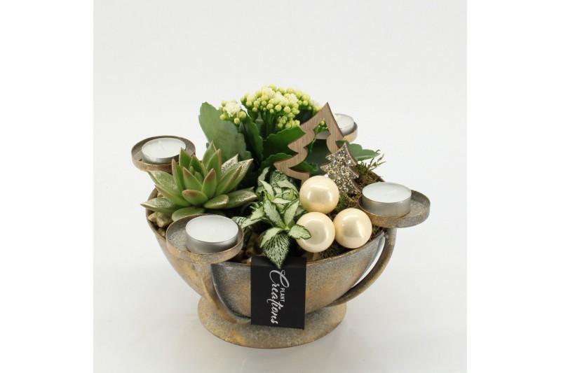 Arrangementen kerst ADV-2520W Advent creatie 3 pp 