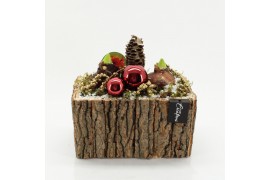 Arrangementen hippeastrum HICR-2529R Kerst Amaryllis 2 pp