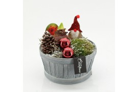 Arrangementen hippeastrum HICR-2532R Kerst Amaryllis 1 pp