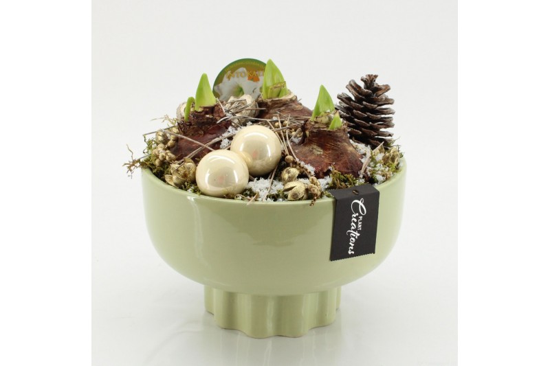 Arrangementen hippeastrum HICR-2535W Kerst Amaryllis 3 pp 