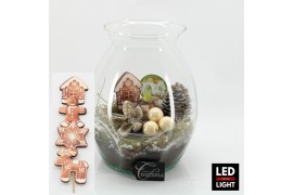 Arrangementen hippeastrum HICR-2509WLED Kerst Amaryllis terrarium 1 pp