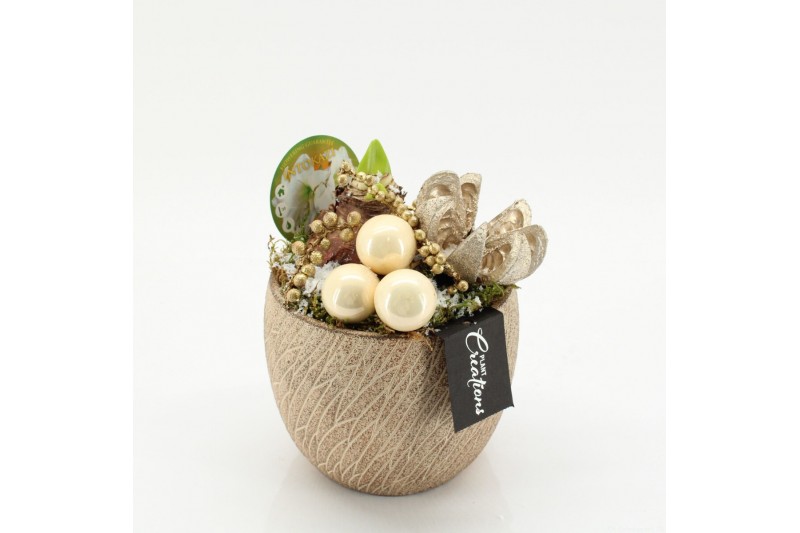 Arrangementen hippeastrum HICR-2518W Kerst Amaryllis 1 pp 