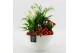 Arrangementen kamerplanten BAXM-2512R Xmas Fundamentals 4 pp 