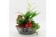 Arrangementen kamerplanten BAXM-2515R Xmas Fundamentals 3 pp 