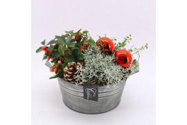 Arrangementen gaultheria GACR-2512 Gaultheria creatie 3 pp