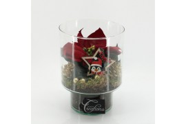 Arrangementen euphorbia pulcherrima POCR-2502 Poinsettia creatie 1 pp