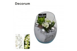 Arrangementen kerst Calandiva & Hyacint Oblique HL21172WP [BLACK & WHI