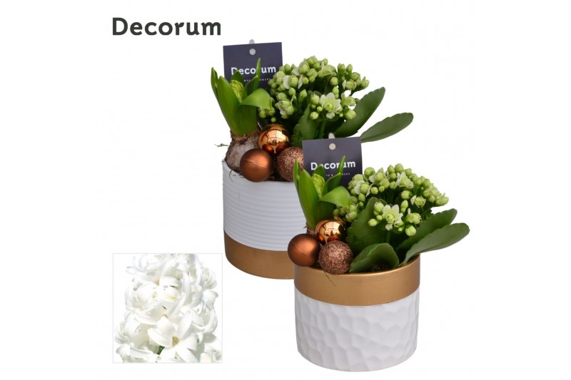 Arrangementen kerst Calandiva & Hyacint Wit Goud Keramiek HL23222WP [B 