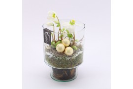 Arrangementen helleborus NHCR-2516 Verboom Helleborus 1 pp