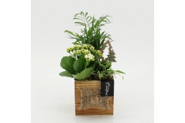 Arrangementen kerst XMAS-25257 Kerst creatie 3 pp