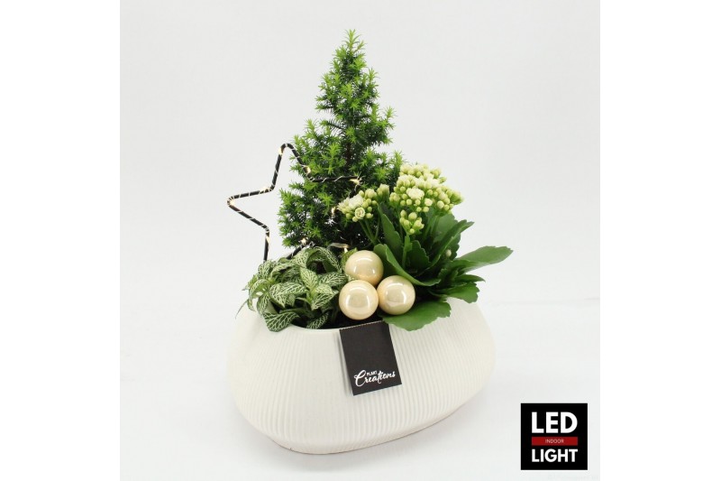Arrangementen kerst XMAS-25302LED Kerst creatie 3 pp 