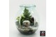 Arrangementen kerst XMAS-25313LED Kerst creatie terrarium 3 pp 