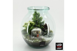 Arrangementen kerst XMAS-25313LED Kerst creatie terrarium 3 pp