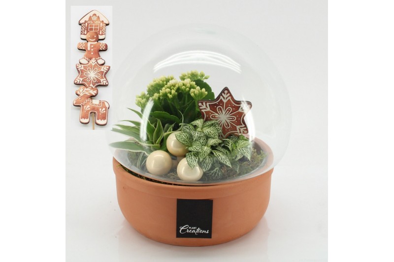 Arrangementen kerst XMAS-25263 Kerst creatie terrarium 3 pp 