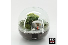 Arrangementen kerst XMAS-25219LED Kerst creatie terrarium 3 pp
