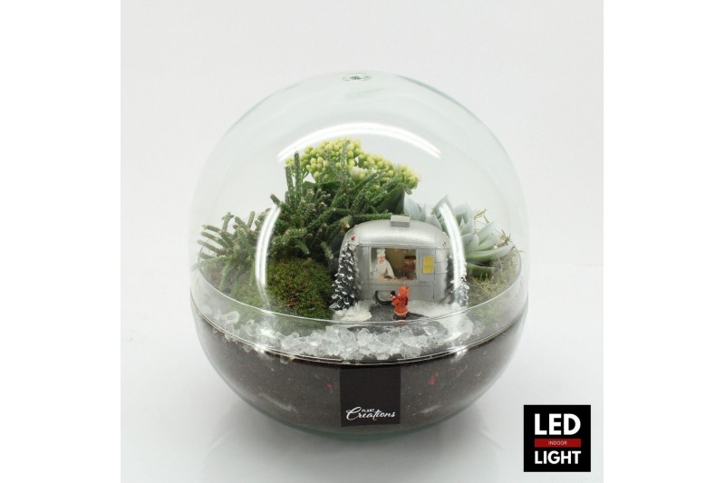 Arrangementen kerst XMAS-25219LED Kerst creatie terrarium 3 pp 
