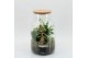 Arrangementen kerst XMAS-25224 Kerst creatie terrarium 3 pp 