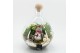 Arrangementen kerst XMAS-25241 Kerst creatie terrarium 2 pp 