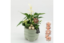 Arrangementen kerst XMASXL-2502 Kerst XL 3 pp