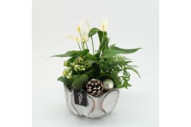 Arrangementen kerst XMASXL-2510 Kerst XL 3 pp