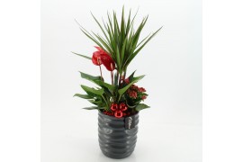 Arrangementen kerst XMASXL-2513 Kerst XL 3 pp
