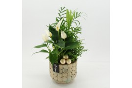 Arrangementen kerst XMASXL-2520 Kerst XL 3 pp