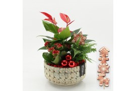 Arrangementen kerst XMASXL-2521 Kerst XL 3 pp