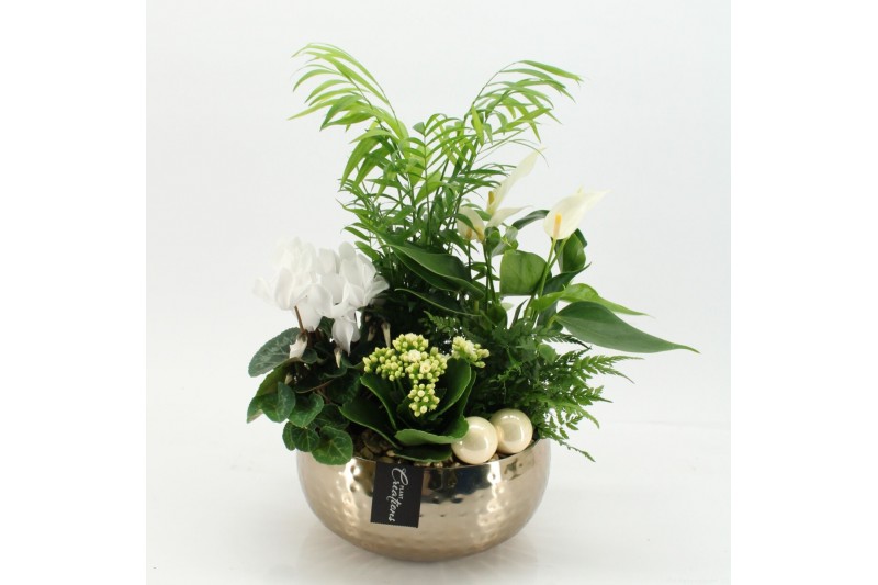 Arrangementen kerst XMASXL-2518 Kerst XL 5 pp 