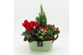 Arrangementen kerst XMASXL-2529 Kerst XL 4 pp