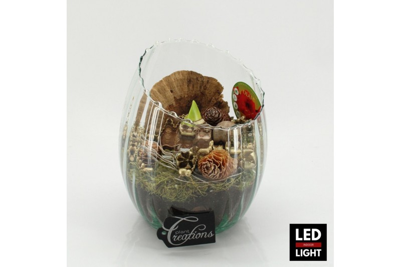 Arrangementen hippeastrum HICR-2503RLED Kerst Amaryllis 1 pp 