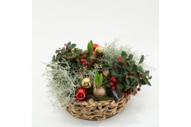 Arrangementen tuinplanten ODXM-2512 Xmas Outdoor 6 pp